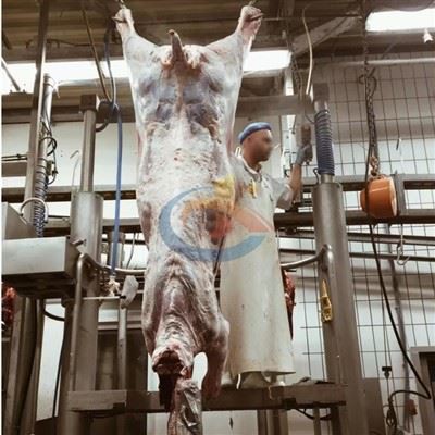Management Standards for Cattle Slaughtering Workshop